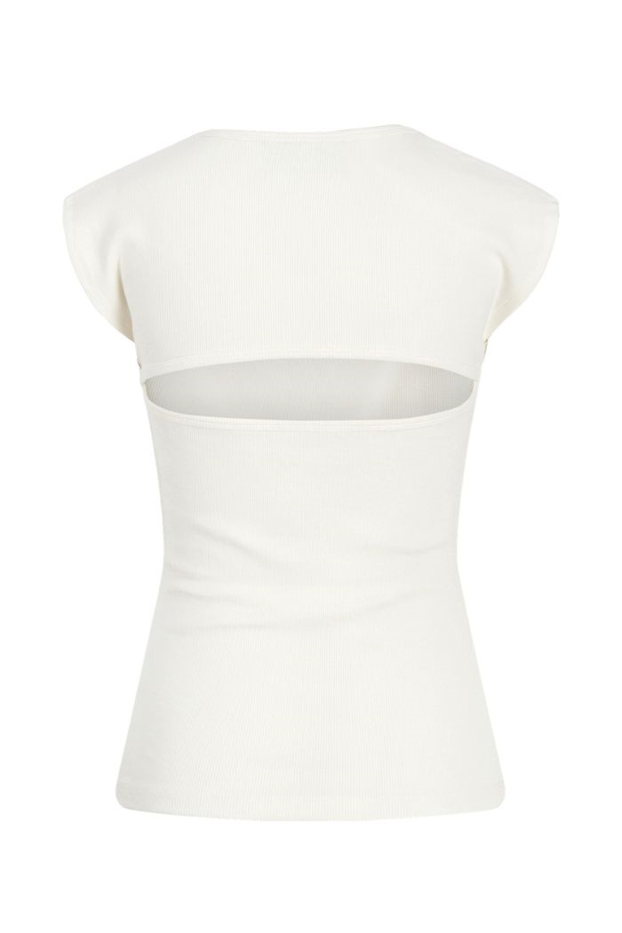 Ley rib top, Vanilla ice